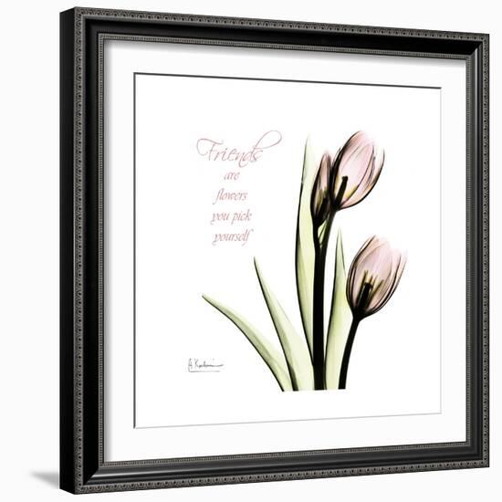 Tulip Friends-Albert Koetsier-Framed Premium Giclee Print