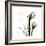 Tulip Friends-Albert Koetsier-Framed Premium Giclee Print