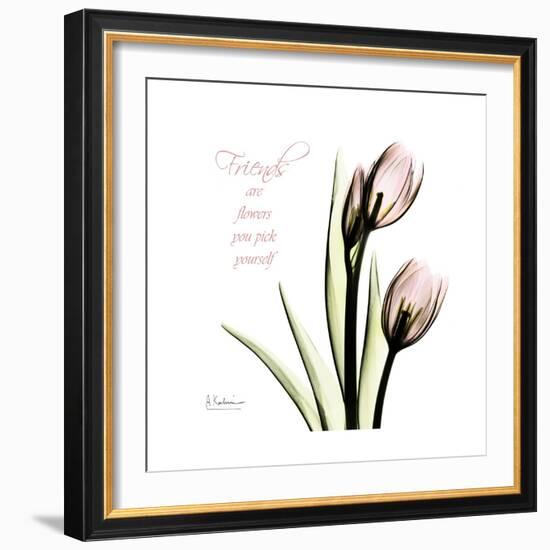 Tulip Friends-Albert Koetsier-Framed Premium Giclee Print