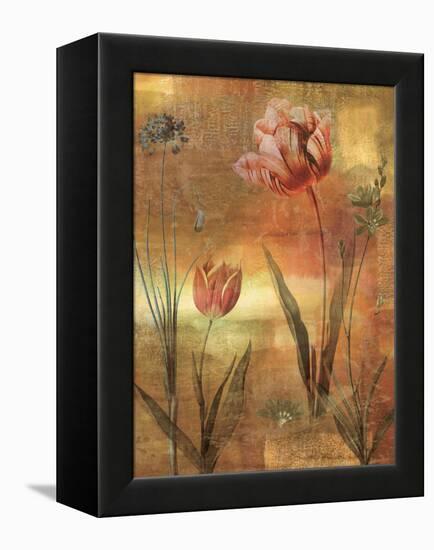 Tulip Garden II-John Seba-Framed Stretched Canvas