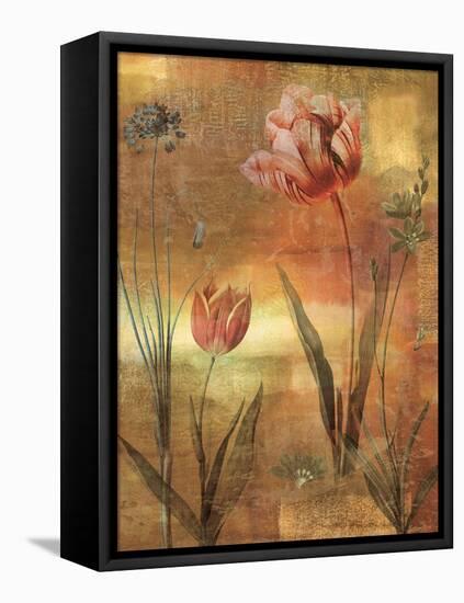 Tulip Garden II-John Seba-Framed Stretched Canvas