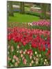 Tulip Garden, Keukenhof Gardens, Lisse, Netherlands, Holland-Adam Jones-Mounted Photographic Print