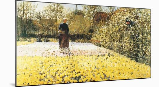 Tulip Garden-George Hitchcock-Mounted Art Print