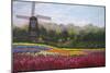 Tulip Garden-Bonnie B. Cook-Mounted Giclee Print