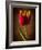 Tulip Glow-George Oze-Framed Photographic Print