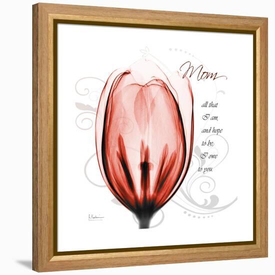 Tulip Head Mom-Albert Koetsier-Framed Stretched Canvas