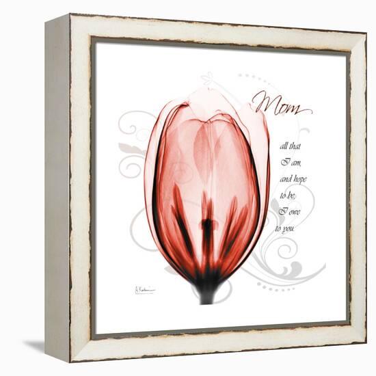 Tulip Head Mom-Albert Koetsier-Framed Stretched Canvas