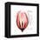 Tulip Head Mom-Albert Koetsier-Framed Stretched Canvas