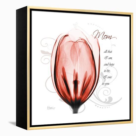 Tulip Head Mom-Albert Koetsier-Framed Stretched Canvas