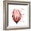 Tulip Head Mom-Albert Koetsier-Framed Premium Giclee Print