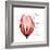 Tulip Head Mom-Albert Koetsier-Framed Premium Giclee Print