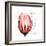 Tulip Head Mom-Albert Koetsier-Framed Premium Giclee Print