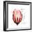 Tulip Head Mom-Albert Koetsier-Framed Premium Giclee Print