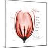 Tulip Head Mom-Albert Koetsier-Mounted Premium Giclee Print