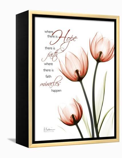 Tulip Hope-Albert Koetsier-Framed Stretched Canvas