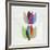 Tulip II-PI Studio-Framed Art Print