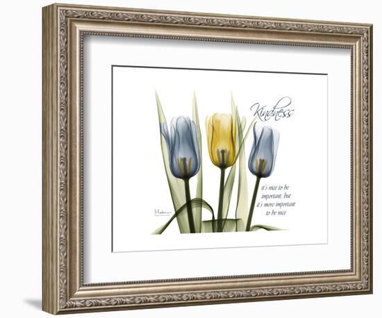 Tulip Kindness-Albert Koetsier-Framed Premium Giclee Print