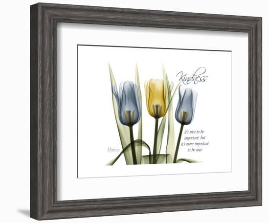 Tulip Kindness-Albert Koetsier-Framed Premium Giclee Print