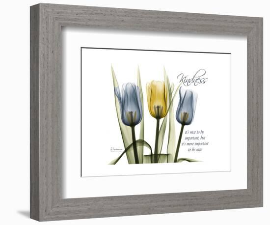 Tulip Kindness-Albert Koetsier-Framed Premium Giclee Print