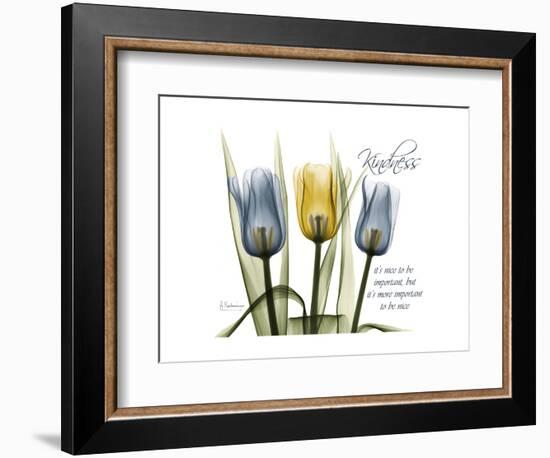 Tulip Kindness-Albert Koetsier-Framed Premium Giclee Print