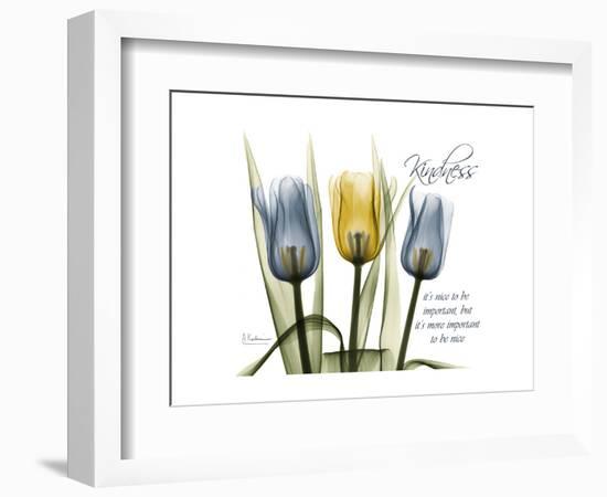 Tulip Kindness-Albert Koetsier-Framed Premium Giclee Print