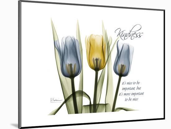 Tulip Kindness-Albert Koetsier-Mounted Premium Giclee Print