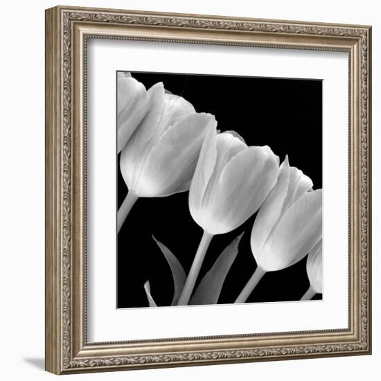 Tulip Line-null-Framed Art Print