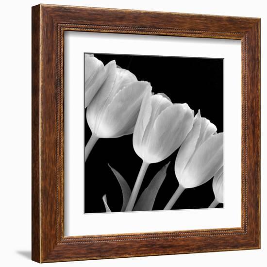 Tulip Line-null-Framed Art Print