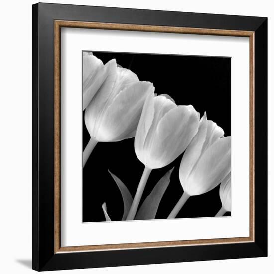 Tulip Line-null-Framed Art Print