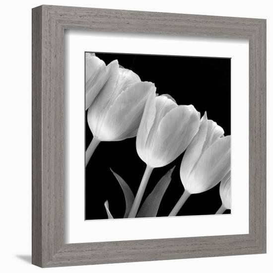 Tulip Line-null-Framed Art Print