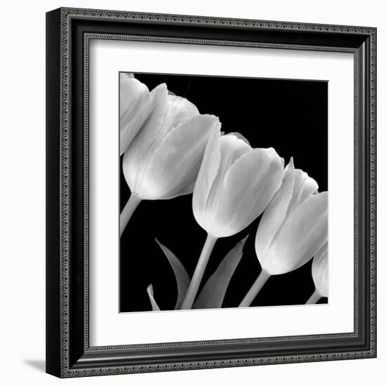 Tulip Line-null-Framed Art Print