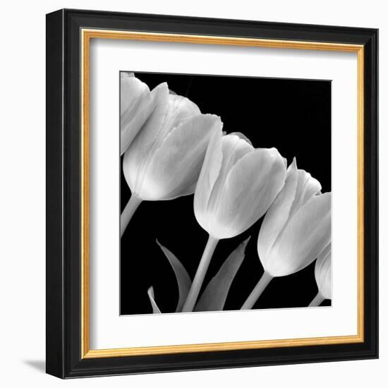 Tulip Line-null-Framed Art Print