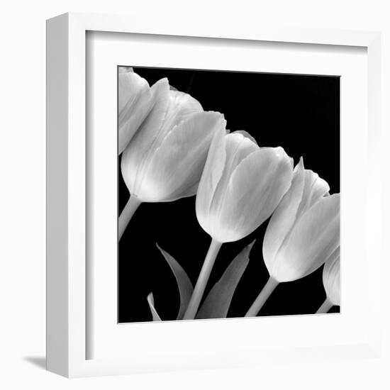 Tulip Line-null-Framed Art Print