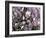 Tulip Magnolia Bloom, Washington, USA-William Sutton-Framed Photographic Print