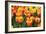 Tulip March I-Dana Styber-Framed Photographic Print