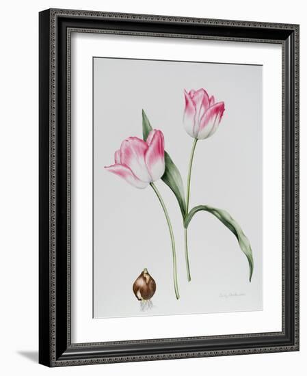 Tulip Meissner Porcellan with Bulb-Sally Crosthwaite-Framed Giclee Print