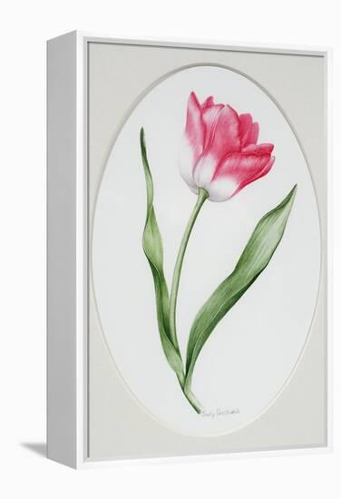 Tulip Meissner Porzellan Singe-Sally Crosthwaite-Framed Premier Image Canvas