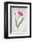 Tulip Meissner Porzellan Singe-Sally Crosthwaite-Framed Giclee Print