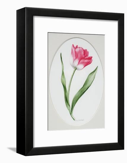 Tulip Meissner Porzellan Singe-Sally Crosthwaite-Framed Giclee Print