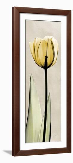 Tulip Moment-Albert Koetsier-Framed Art Print