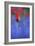 Tulip No 3-István Nagy-Framed Photographic Print