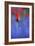 Tulip No 3-István Nagy-Framed Photographic Print