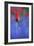 Tulip No 3-István Nagy-Framed Photographic Print