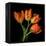 Tulip Orange-Magda Indigo-Framed Premier Image Canvas