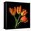 Tulip Orange-Magda Indigo-Framed Premier Image Canvas