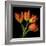 Tulip Orange-Magda Indigo-Framed Photographic Print