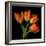 Tulip Orange-Magda Indigo-Framed Photographic Print