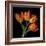 Tulip Orange-Magda Indigo-Framed Photographic Print