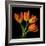 Tulip Orange-Magda Indigo-Framed Photographic Print