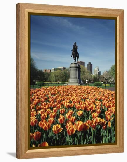 Tulip Patch with Statue of Washington, Boston, Massachusetts,USA-Walter Bibikow-Framed Premier Image Canvas